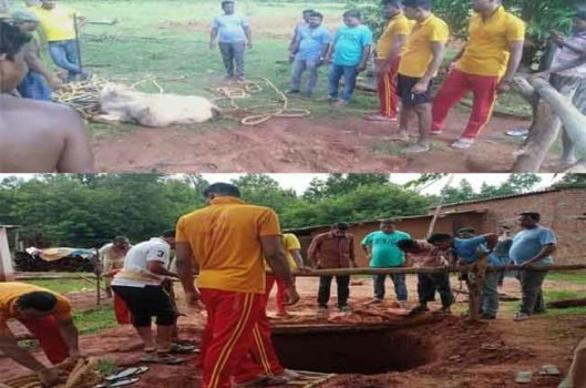ଗଭୀର କୂଅ ଭିତରୁ ଗାଈ କୁ ଉଦ୍ଧାର 