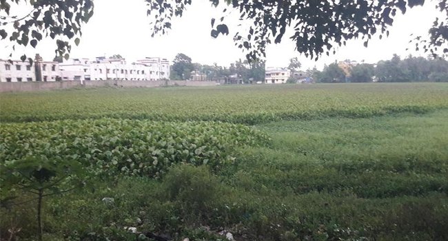 ମହାଭୋଇ ପୋଖରୀ ପୁନରୁଦ୍ଧାରରେ ଅନିଶ୍ଚିନ୍ତତା