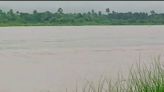 ବଂଶଧାରା ନଦୀରେ ବନ୍ୟାଜଳ ସତର୍କ ସଂକେତ ଅତିକ୍ରମ କରି ପ୍ରଭାବିତ ହେଉଛି