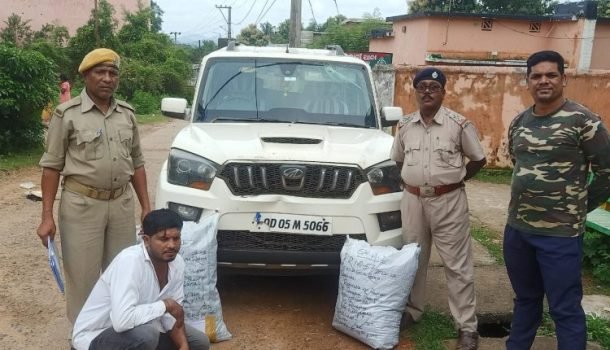 ଗଞ୍ଜେଇ ସହ ସ୍କର୍ପିଓ ଗାଡ଼ି ଜବତ, ଜଣେ ଚାଲାଣକାରୀ ଗିରଫ