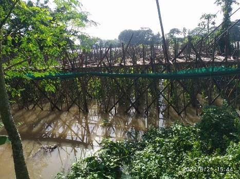 ବନ୍ୟା ଭାଙ୍ଗିଦେଲା ପାନ ଚାଷୀଙ୍କ ଆର୍ଥିକ ମେରୁଦଣ୍ଡ