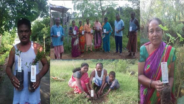 ୟୁଏସ୍ଆଇ ସଂଗଠନ ପକ୍ଷରୁ ଚାରା ରୋପଣ ଓ ଚାଷୀଙ୍କୁ ବିହନ ବଣ୍ଟନ ସହ ସମ୍ବର୍ଦ୍ଧନା