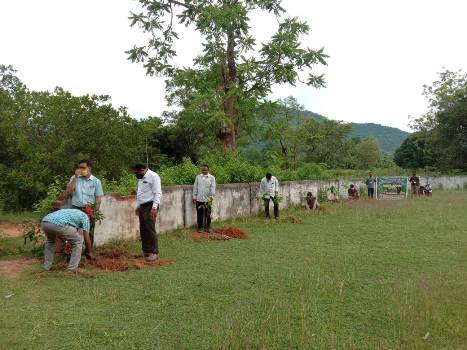 ଯୁବ ସ୍ୱାଭିମାନ ଦିବସ ଅବସରରେ ଗୋବରା ସମ୍ବାଦ ସାହିତ୍ୟ ଘର ଏବଂ ବେଲଗୁଣ୍ଠା ପ୍ରେସକ୍ଲବର ମିଳିତ ବୃକ୍ଷରୋପଣ