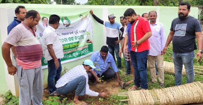 ବାଲିବରେଇ ପଞ୍ଚାୟତରେ ବୃକ୍ଷରୋପଣ କାର୍ଯ୍ୟକ୍ରମ