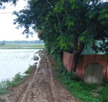 ଗ୍ରାମ ପଞ୍ଚାୟତକୁ ଯାତାୟତ କରିବା ପାଇଁ ରାସ୍ତା ନାହିଁ