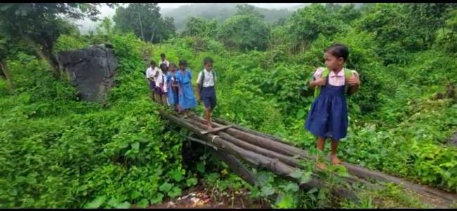 ବିଦ୍ୟାଳୟ ଯିବା ପାଇଁ କାଠପୋଲ ଭରଷା, ବାଜିରେ ଲାଗୁଛି ଛାତ୍ର ଛାତ୍ରୀ ଙ୍କ ଜୀବନ