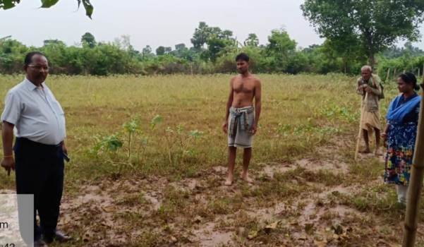ବନ୍ୟା ପ୍ରଭାବିତ ଚାଷ ଜମି ବୁଲିଲେ ଅଧିକାରୀ