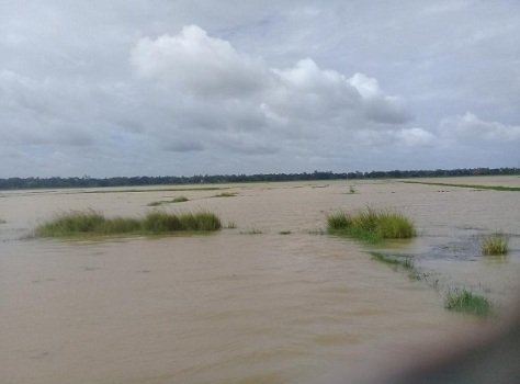 ନାଗପୁରା ପାଟରେ ଗୋବରୀ ବନ୍ୟା, ପାଟନାଳୀ ଖନନ ଦାବି ଜୋର ଧରିଲା