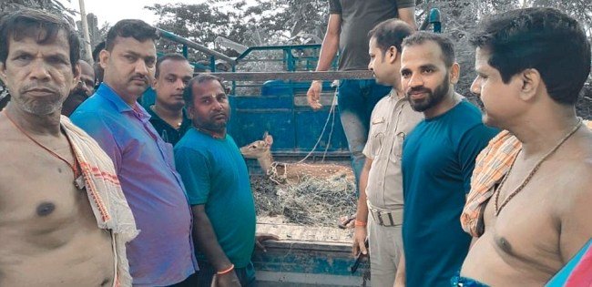 ଧୂଆଁପଦା ଗ୍ରାମରୁ ହରିଣ ଉଦ୍ଧାର