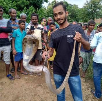 ନାଗ ସର୍ପ କାମୁଡ଼ାରେ ବଣପଲ୍ଲୀ ଗ୍ରାମର ମହିଳା ଆହତ
