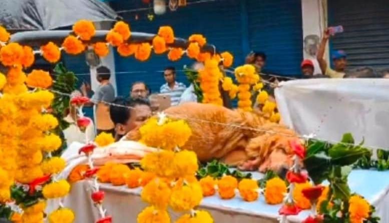 ଅଞ୍ଜଳୀନାମକ କୁକୁର ପାଇଁ କାନ୍ଦିଲା ପାରଳାଖେମୁଣ୍ଡି ସହର ମୃତ୍ୟୁପରେ ମିଳିଲା ସମ୍ମାନ