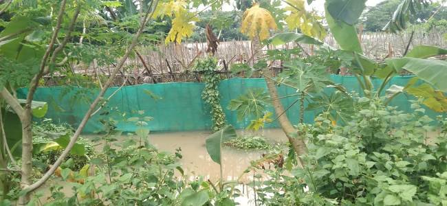 କ୍ଷତିଗ୍ରସ୍ତ ପାନଚାଷୀଙ୍କୁ ସହାୟତା ଦାବି