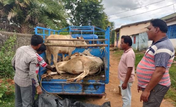 ଚୋରା ଗୋ ଚାଲାଣବେଳେ ଗାଡ଼ି ଜବତ କଲା ପୁଲିସ
