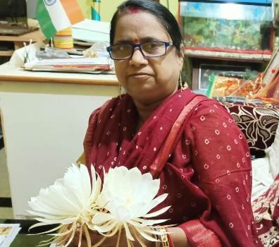 ଶିକ୍ଷୟତ୍ରୀ ଙ୍କ ବଗିଚାରେ ବ୍ରହ୍ମକମକ ଫୁଟିଲା