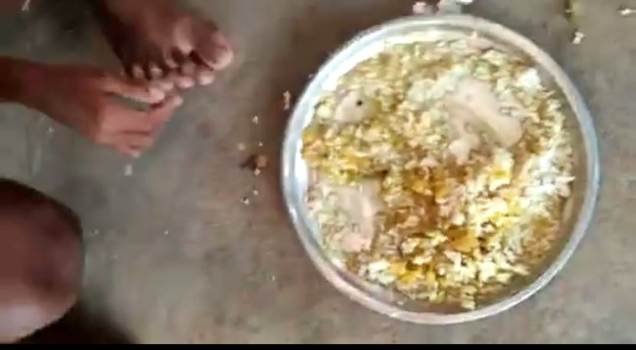 ମଧ୍ୟାହ୍ନ ଭୋଜନରେ ପୋକ, ଭିଡିଓ ଭାଇରାଲ