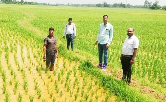 କୃଷିକ୍ଷେତ୍ର ଅନୁଧ୍ୟାନ କଲେ ଅଧିକାରୀ