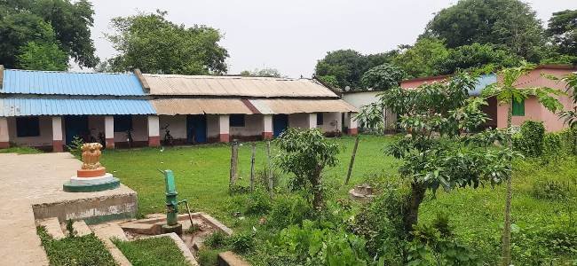 ସମସ୍ୟା ଘେରରେ ପଢିଆରୀପଲ୍ଲି ସରକାରୀ ପ୍ରାଥମିକ ବିଦ୍ୟାଳୟ, ସ୍ମାର୍ଟ କ୍ଲାସ ପ୍ରହସନ
