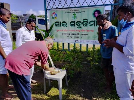 ସତ୍ୟସାଇ ସେବା ସଙ୍ଗଠନ ପକ୍ଷରୁ ବୃକ୍ଷରୋପଣ