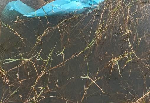 ମାଛ ଧରିବାକୁ ଯାଇ ବଜ୍ରାଘାତରେ ଯୁବକ ମୃତ