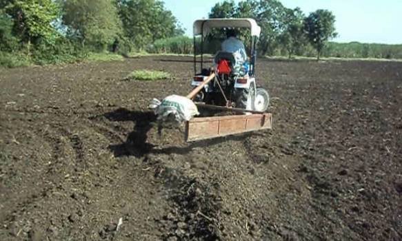 ୟୁରିଆ ସାର କଳାବଜାର ଅଭିଯୋଗ