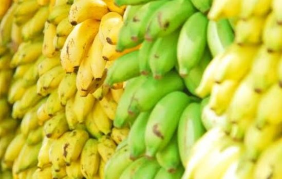 ବଜାରରେ ଅପମିଶ୍ରିତ ପନିଅର ଓ କଦଳୀ