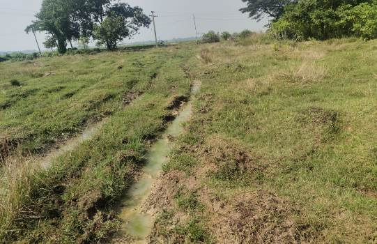 ନୂଆରମ୍ପାସ ଖେଳ ପଡିଆ ଅଧାପନ୍ତରିଆ ,ଯୁବପିଢ଼ିଙ୍କ ମଧ୍ୟରେ ଅସନ୍ତୋଷ