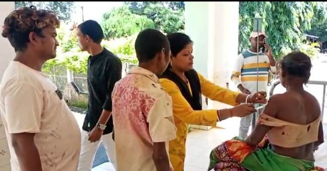 ଦୁଇଟି ହାତୀ ଆକ୍ରମଣରେ ଗୃହ ନଷ୍ଟ ସହ ଅଳ୍ପକେ ବର୍ତିଲେ ବୁଢ଼ାବୁଢ଼ୀ ଓ ନାତୁଣୀ