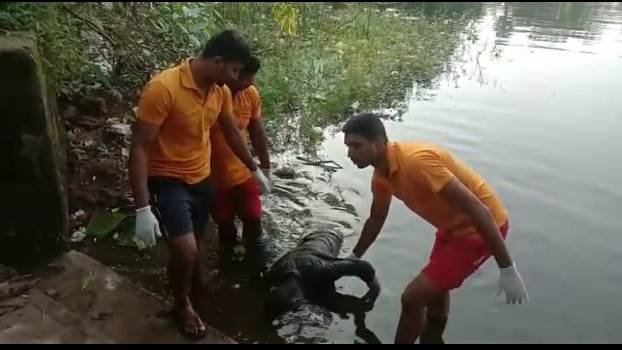 ପାଣିରେ ବୁଡି ମୃତ୍ୟୁ ବରଣ କରିଥିବା ଯୁବକ ଉଦ୍ଧାର
