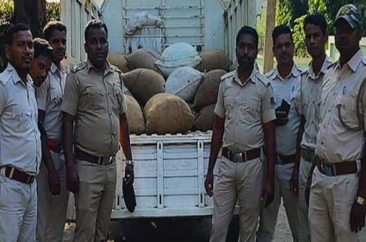 କନ୍ଧମାଳ ଜିଲ୍ଲା ଅବକାରୀ ବିଭାଗର ଚଢ଼ାଉ, ୮କୁଇଣ୍ଟାଲ ମହୁଲ ଜବତ