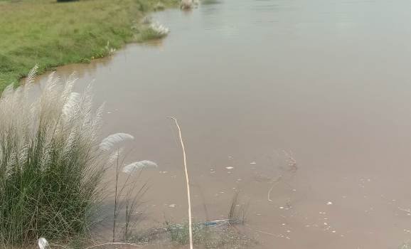 ନମାମି ପ୍ରାଚୀ ଯୋଜନା ପ୍ରଣୟନ ଦାବି