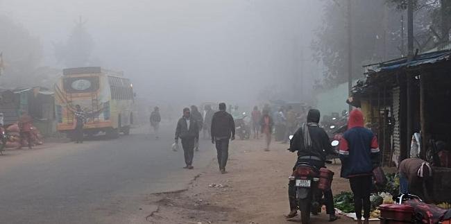 ମୋହନା ଅଞ୍ଚଳରେ ଘନ କୁହୁଡି, ହାଡଭଙ୍ଗା ଶୀତ