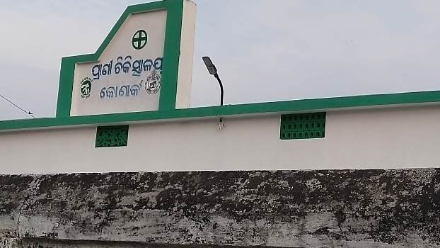 କୋଣାର୍କ ପ୍ରାଣୀ ଚିକିତ୍ସାଳୟରେ ପ୍ରାଣୀ ଚିକିତ୍ସା ବିପର୍ଯ୍ୟସ୍ତ, ପ୍ରାଣୀ ଚିକିତ୍ସକ ନାମକୁ ମାତ୍ର ଆଟେଣ୍ଡାଣ୍ଟ ସର୍ବେସର୍ବା