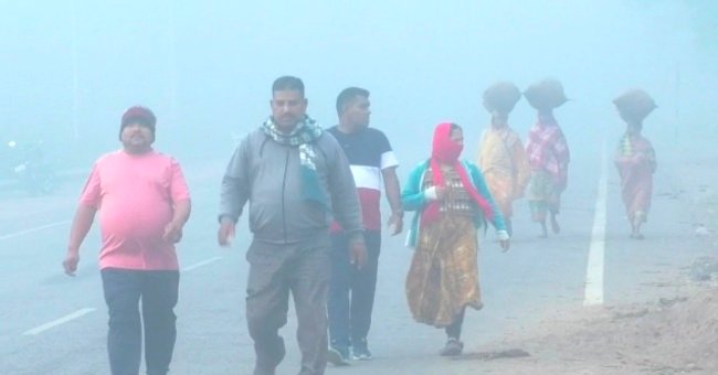 ସମଗ୍ର କନ୍ଧମାଳରେ ପ୍ରବଳ ଥଣ୍ଡା ସହ ଘନ କୁହୁଡ଼ି