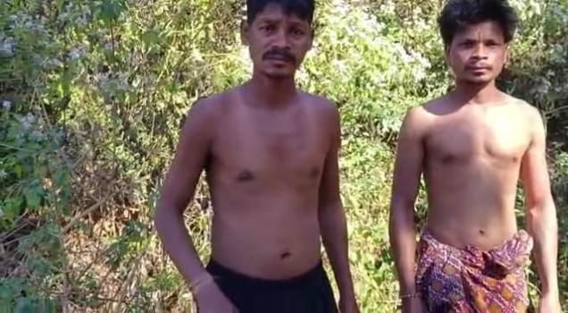 ବିରୁଡ଼ିଁ ଆକ୍ରମଣରେ ୮ରୁ ଉର୍ଦ୍ଧ ଆହତ, ଜଣେ ଗୁରୁତର ମେଡିକାଲ୍ ରେ ଭର୍ତ୍ତି