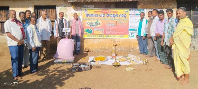 ବିରଞ୍ଚିପୁର ସୋସାଇଟିରେ ଧାନମଣ୍ଡିର ଶୁଭାରମ୍ଭ