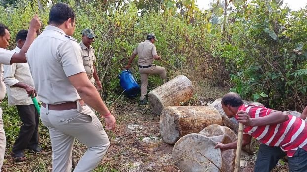 ସିଆରିମାଳରେ ଅବକାରୀ ଚଢ଼ାଉ; ପୋଚ ଓ ଦେଶୀମଦ ଜବତ