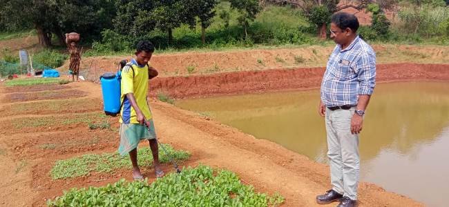 ଟିଏସ୍‌ଏଫ୍‌ର ପୋଖରୀ ଚାଷ (ଫାର୍ମ ପଣ୍ଡ୍ ) ଯୋଡ଼ାର ଚାଷୀଙ୍କ ଆୟ ବହୁଗୁଣିତ କରିବା ଲାଗି ପଥ ପ୍ରଦର୍ଶନ କରିଛି