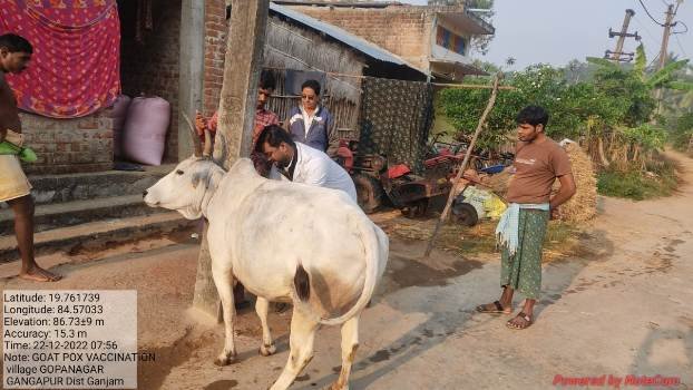 ଗାଙ୍ଗପୁରରେ ଚର୍ମବିଣ୍ଡି ରୋଗ ଟିକାକରଣ ଓ ସଚେତନତା କାର୍ଯ୍ୟକ୍ରମ