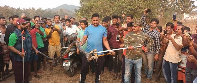 ୧୨ ଫୁଟ ଲମ୍ବର ଅହିରାଜ ଉଦ୍ଧାର