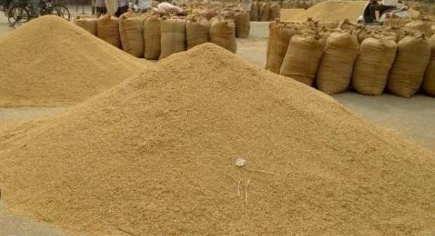 ମଣ୍ଡି ନ ଖୋଲିବାରୁ ଚାଷୀ ଶାଗ ମାଛ ଦରରେ ଧାନ ଆନ୍ଧ୍ର ବେପାରୀକୁ ବିକ୍ରି