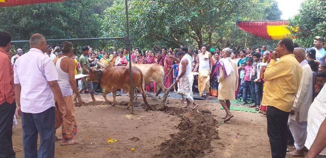 ଉମେରଗ୍ରାମ ରେ ମହାଭାରତ ମହାଯଜ୍ଞ ର ଭୂମି ପୂଜନ ଉତ୍ସବ ଅନୁଷ୍ଠିତ