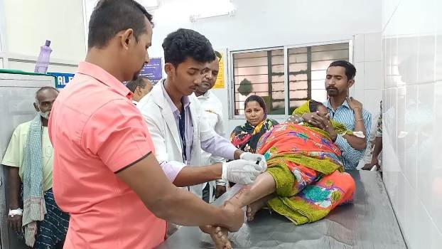 ପାଗଳ କୁକୁର ଆକ୍ରମଣରେ ୫୦ ଆହତ