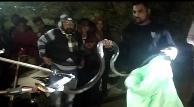 ଗାମୁଣ୍ଡି ଗ୍ରାମ ରୁ ଅହିରାଜ ସାପ ଉଦ୍ଧାର