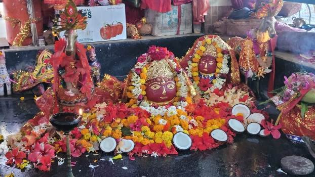 ନୁଆବର୍ଷ ଉପଲକ୍ଷେ ଛେନାପଦି ତାରିଣୀ ମନ୍ଦିରରେ ଶ୍ରଦ୍ଧାଳୁଙ୍କ ଭିଡ