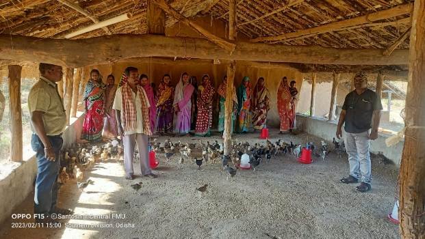 ଆବର୍ତନ ପାଣ୍ଠିରୁ ଜୀବନ ଜୀବିକା