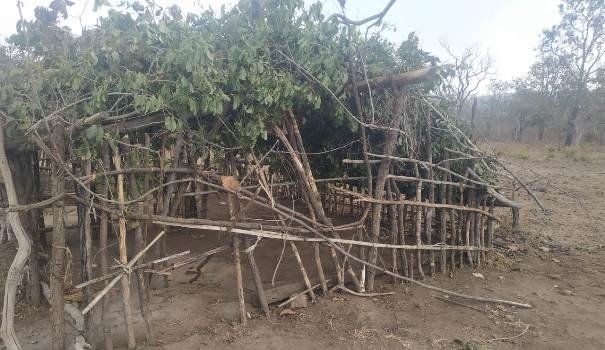 ପର୍ବ ପୂର୍ବରୁ ପୋଲିସ ଭାଙ୍ଗିଦେଲା ନିୟମ ରାଜା ମନ୍ଦିର, ଡଙ୍ଗରିଆ ଙ୍କ ତୀବ୍ର ବିରୋଧ