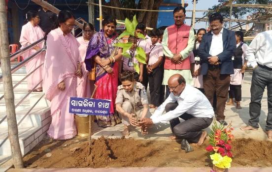 ଡ୍ରିମ୍ସ ଆଇଡିଆଲ ସ୍କୁଲ ପକ୍ଷରୁ ବୃକ୍ଷରୋପଣ