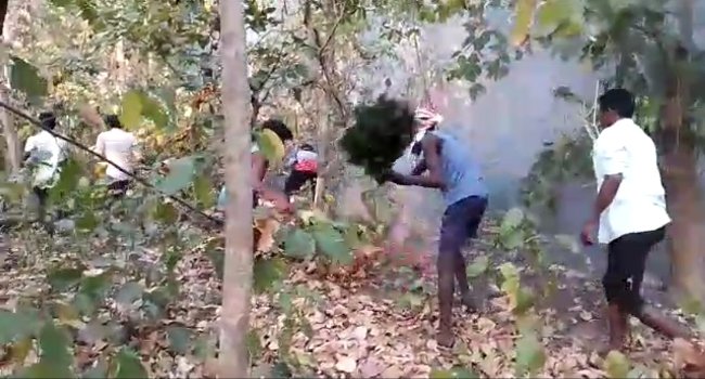 ଗ୍ରାମବାସୀଙ୍କ ଦ୍ୱାରା ଜଂଗଲରୁ ନିଆଁ ଲିଭାଗଲା