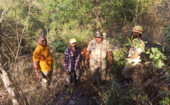 ଜଙ୍ଗଲ ରେ ନିଆଁ ଲାଗି ଜଳିଗଲା ବହୁ ମୂଲ୍ୟବାନ ଗଛ ଏବଂ ଚାରା