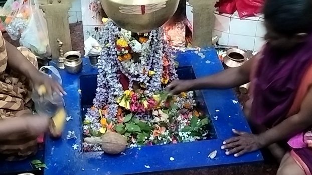 ମୋହନାର ବିଭିନ୍ନ ଅଞ୍ଚଳରେ ଉତ୍ସବମୁଖର ମହାଶିବରାତ୍ରୀ